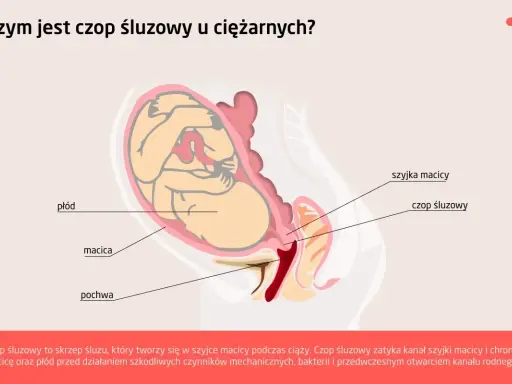 Ilustracja przedstawia płód w macicy, z zaznaczonym czopem śluzowym zamykającym szyjkę macicy.