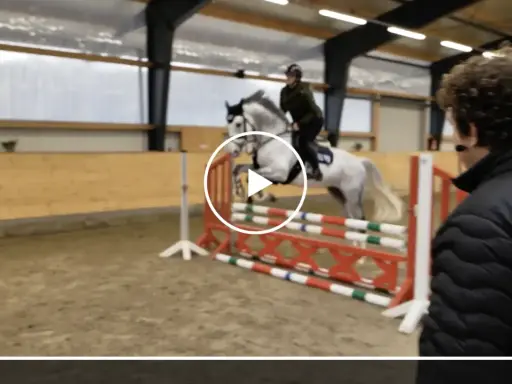 Ein Reiter auf einem Schimmel überwindet eine Hürde. Die Szene zeigt, was bedeutet EL beim Springen: die perfekte Koordination von Pferd und Reiter.