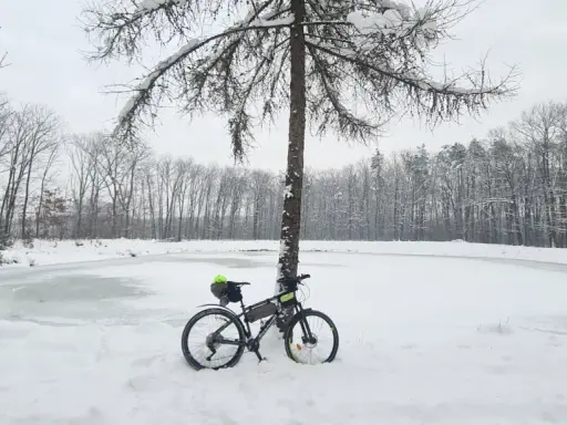 Rower czeka na wiosnę przy zamarzniętym stawie. Zimowe trasy rowerowe Tarnów kuszą pięknem przyrody.