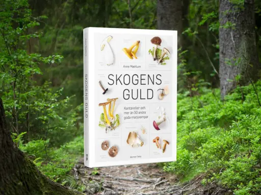En bok om skogens guld, med bilder på kantareller och andra goda matsvampar.