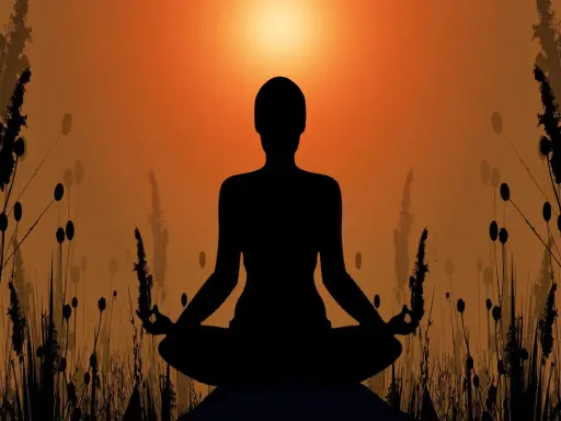 Silhuett av en person i meditationsställning, omgiven av gräs och med en solnedgång i bakgrunden. En bild som symboliserar meditation och hinduism.