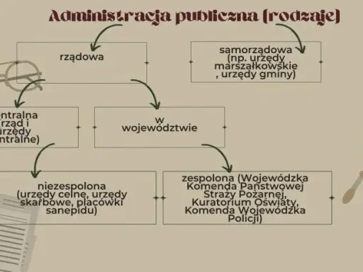 Tak, Policja to organ administracji publicznej! Co to znaczy dla Ciebie?
