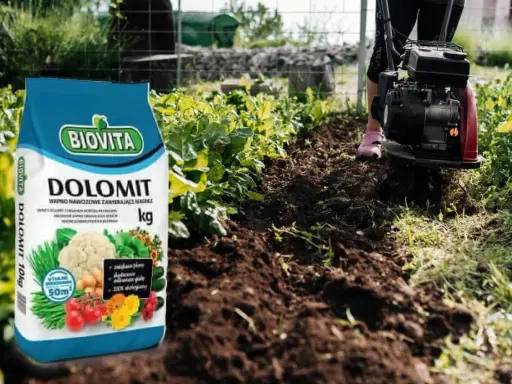 Torba z nawozem Dolomit Biovita obok grządki, gdzie glebogryzarka spulchnia ziemię. Czy dolomit jest szkodliwy? Nie, jest to wapno nawozowe z magnezem.