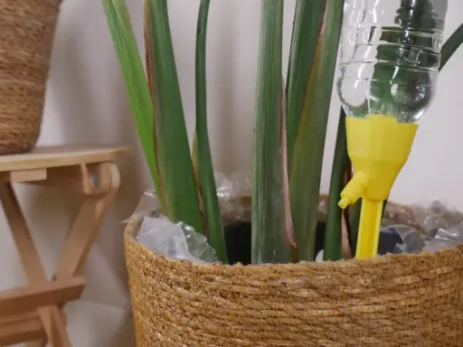 Sistema de riego automático para regar plantas en vacaciones. Una botella de agua con un gotero amarillo se inserta en una maceta de mimbre.