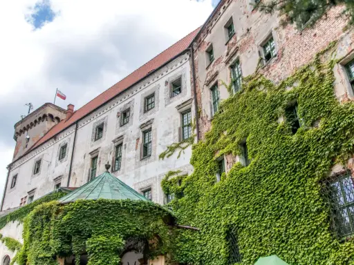 Zamek w Otmuchowie, porośnięty bluszczem, z polską flagą na wieży. Wspaniałe otmuchowskie atrakcje czekają na odkrycie!