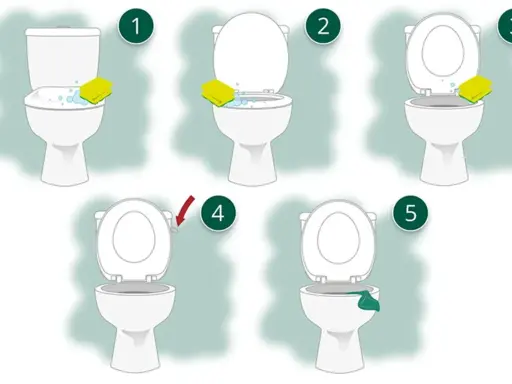 Schritt-für-Schritt-Anleitung, wie oft Toilette putzen: Schwamm mit Reinigungsmittel, Bürsten, Spülen, Abwischen.