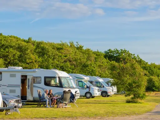 Solig dag på **first camp Sweden**. Husbilar står uppradade på en gräsmatta, med en lummig skog i bakgrunden.
