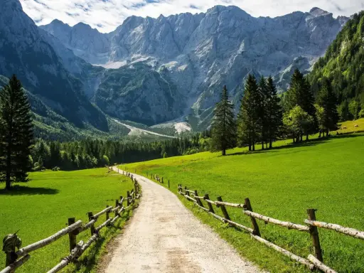 En grönskande dal med en grusväg kantad av trästaket leder mot majestätiska berg. En perfekt plats för en resa till Slovenien.