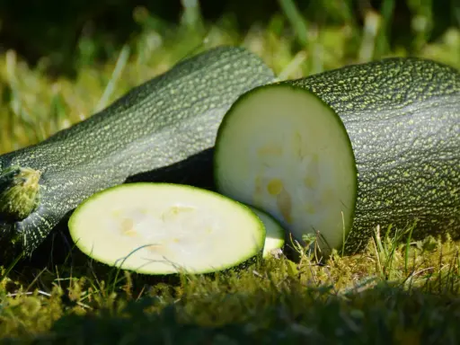 Här ligger färsk så zucchini på gräset, en hel och en delad, redo för köket.
