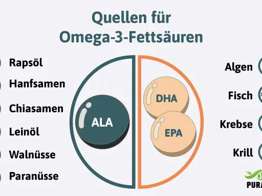Quellen für Omega-3-Fettsäuren: Rapsöl, Hanfsamen, Chiasamen, Leinöl, Walnüsse, Paranüsse, Algen, Fisch, Krebse, Krill. Die Grafik zeigt, wieviel Omega 3 am Tag man zu sich nehmen kann.