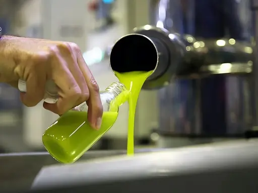 Aceite verde brillante se vierte en una botella. ¿Qué es el aceite lampante? Es un aceite de oliva virgen de baja calidad, no apto para el consumo directo.
