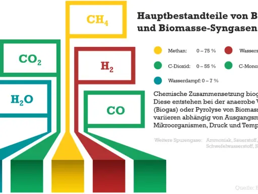 Grafik zeigt Hauptbestandteile von Biogas und Biomasse-Syngasen: CH4, CO2, H2O, H2, CO. Die biomasse produktion erklärt die chemische Zusammensetzung.