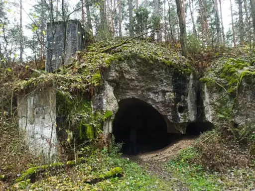 Ruiny twierdzy Osowiec, porośnięte mchem i liśćmi, zapraszają na zwiedzanie. Wejście do bunkra w lesie.