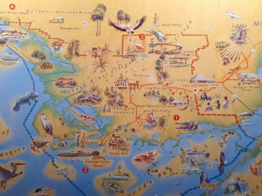 Mapa turystyczna Everglades z zaznaczonymi atrakcjami, zwierzętami i szlakami.