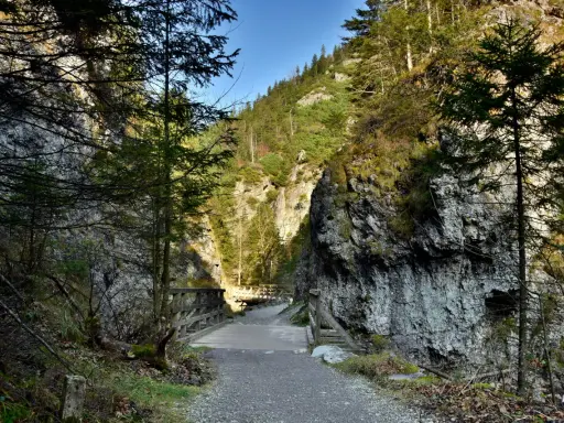 Kamienna ścieżka prowadzi przez wąwóz, przez drewniane mostki. Piękna zakopane trasa w otoczeniu gór i lasu.