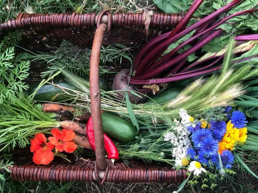 Korb mit frischem Gemüse: Rote Bete, Karotten, Zucchini, Kräuter und bunte Blumen.