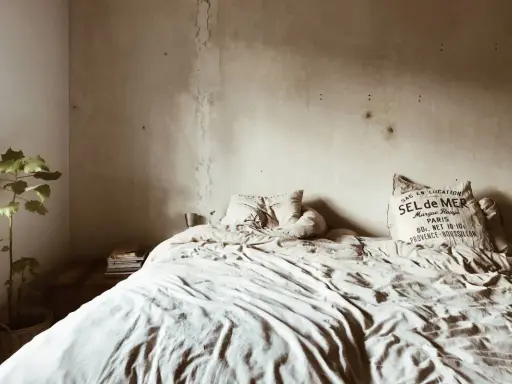 Cama desordenada con manchas de humedad en la pared, indicando las consecuencias de dormir en un colchón con moho. Una planta en maceta y libros añaden un toque hogareño.