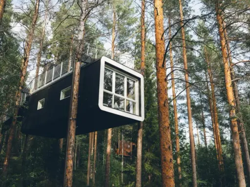 Modern tree hotel i en svensk skog. En svart kubformad byggnad med stora fönster hänger mellan trädstammarna.