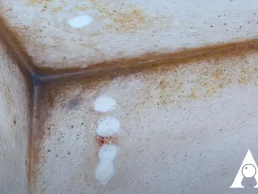 Angoli di un muro con evidenti macchie e aloni, segni di diversi tipi di muffa sui muri.