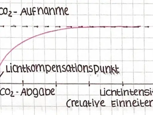 Diagramm zeigt die Abhängigkeit der Fotosynthese von außenfaktoren: CO₂-Aufnahme steigt mit Lichtintensität bis zum Sättigungspunkt.