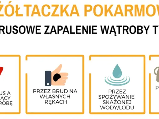 Wirusowe zapalenie wątroby typu A (żółtaczka pokarmowa) przenosi się przez brudne ręce, skażoną wodę/lód i żywność umytą w skażonej wodzie.