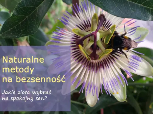 Kwiat męczennicy z pszczołą. Naturalne metody na bezsenność, co na sen dla starszej osoby?