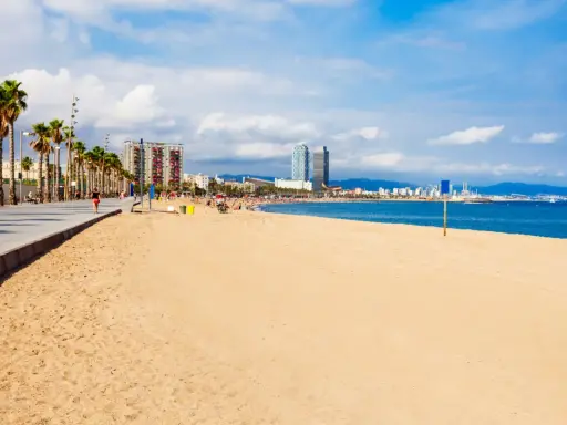 Słoneczna barcelona plaża z palmami i nowoczesnymi budynkami w tle.