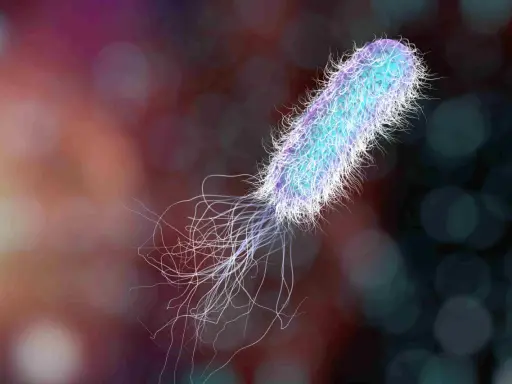 Un batterio Pseudomonas aeruginosa, con i suoi flagelli, è un nemico da eliminare per la salute.
