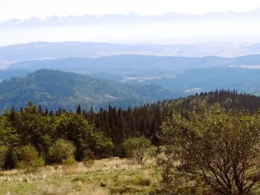 Widok z górskiej hali krupowej na zalesione wzgórza i odległe Tatry.