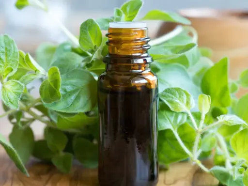 Brązowa buteleczka olejku z oregano, otoczona świeżymi gałązkami tej aromatycznej rośliny. Idealny do naturalnych zastosowań.