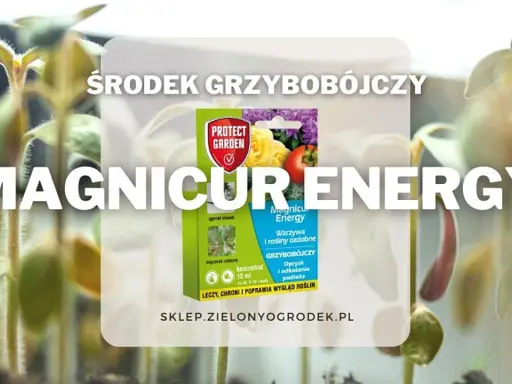 Środek grzybobójczy Magnicur Energy chroni młode rośliny. Zapewnia im energię do wzrostu.