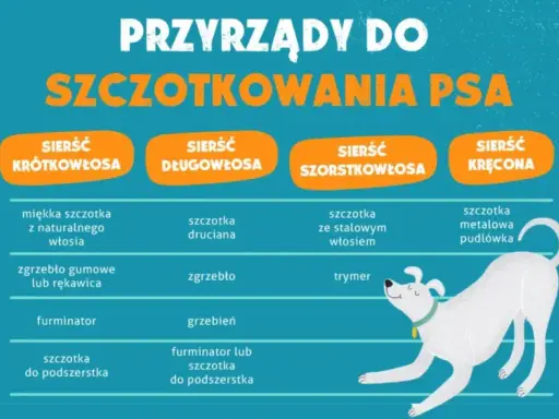 Tabela porównująca narzędzia do pielęgnacji psów o różnym rodzaju sierści: krótkiej, długiej, szorstkiej i kręconej.