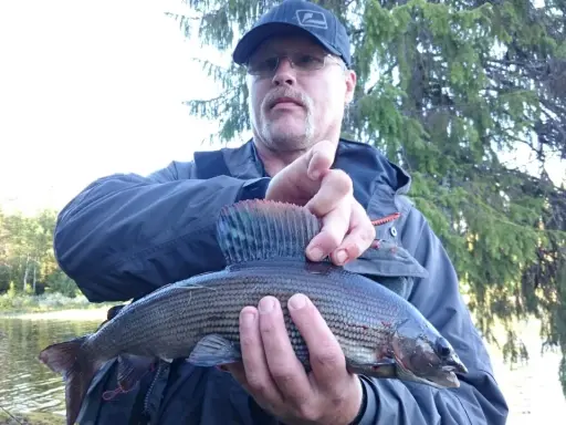 Man med keps och glasögon håller upp en fin fisk, fångad vid fiske i Sorsele.