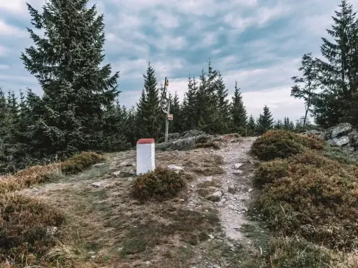 Kamienny słup graniczny i drogowskaz na szczycie góry, otoczone przez świerki. To miejsce, gdzie szlak prowadzi na kowadło szczyt.