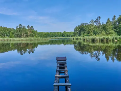 Drewniane pomosty na spokojnym jeziorze, otoczonym zielonym lasem. Idealne miejsce na wypoczynek nad wodą na Pojezierzu Palowickim.