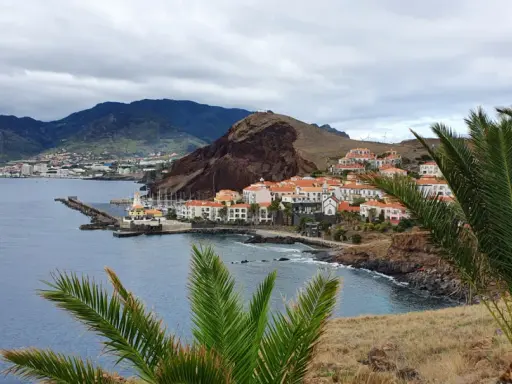 Blick auf eine Küstenstadt mit weißen Häusern und roten Dächern, umgeben von Bergen. Palmen im Vordergrund. Hier leben die Madeira Einwohner.