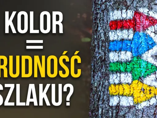 Kolor szlaku a trudność? Strzałki na drzewie: czerwona, niebieska, zielona, żółta.