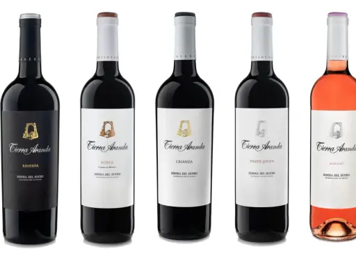 Variedad de **mejores vinos de Aranda de Duero** de la marca Tierra Aranda: Reserva, Roble, Crianza, Tinto Joven, Rosado y Verdejo.