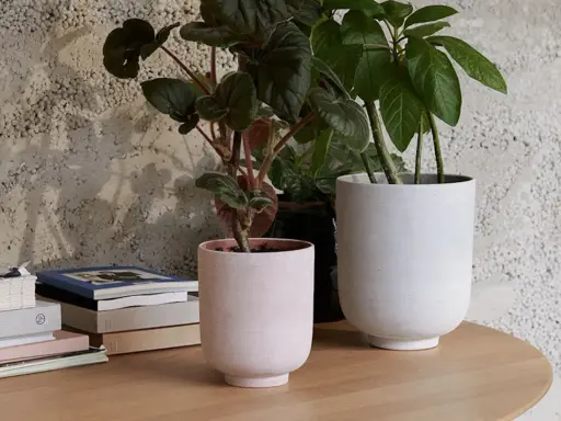 Två stilrena krukor inomhus inspiration. En ljusrosa och en vit kruka med gröna växter på ett runt träbord.