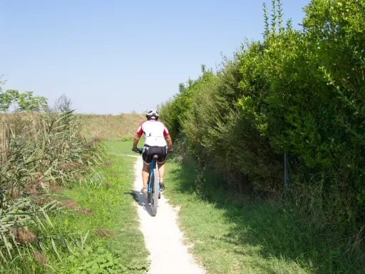 Ciclista su sentiero sterrato, immerso nella natura rigogliosa, un'esperienza da savio di Cervia.