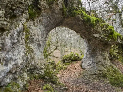 Arco natural cubierto de musgo en la sierra de Entzia, con un bosque otoñal al fondo.