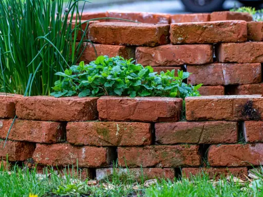 Okrągła rabata z cegły, w której rośnie mięta i szczypiorek. Cegły ułożone techniką brick stitch tworzą naturalną, rustykalną oprawę.