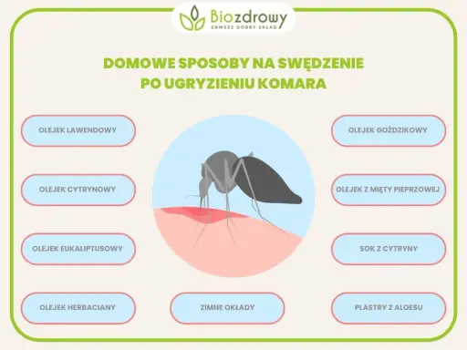 Domowe sposoby na swędzenie po ugryzieniu komara: olejki, sok z cytryny, zimne okłady i plastry z aloesu.