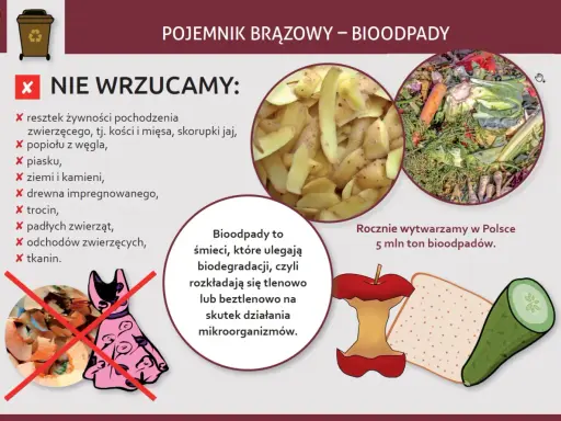 Grafika informuje, co wrzucać do brązowego pojemnika na bioodpady: resztki warzyw, owoców, fusy. Rocznie w Polsce powstaje 5 mln ton bioodpadów.