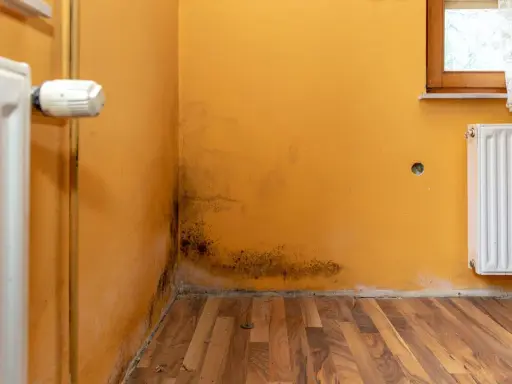 Manchas de moho en la esquina de una habitación con paredes naranjas y radiadores. Un problema común que indica cómo medir la humedad en casa.