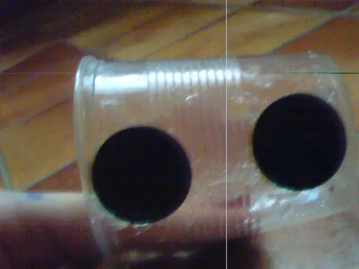Jak zrobić kotnik dla rybek DIY? 3 proste metody krok po kroku
