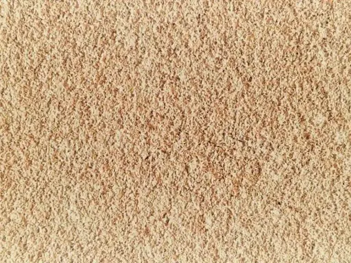 Texture granuleuse de diatomite, témoignant de son évolution naturelle.