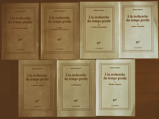 Una collezione di volumi di "Alla ricerca del tempo perduto" di Marcel Proust, editi da Gallimard, disposti su uno sfondo marrone.
