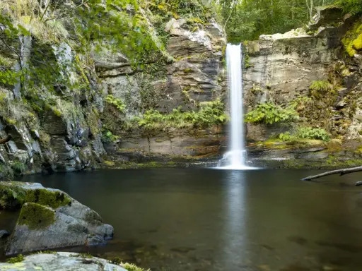 La fervenza do Pombar, una cascada serena rodeada de rocas cubiertas de musgo y vegetación exuberante, cae en una poza de aguas tranquilas.
