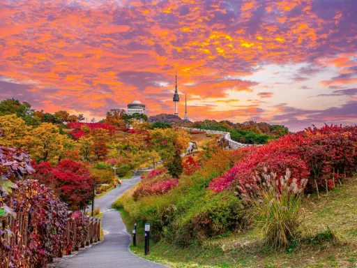 Un sentiero serpeggia tra foliage autunnale vibrante, con la Torre di Seoul in lontananza. Un'immagine perfetta di cosa vedere a Seoul in autunno.